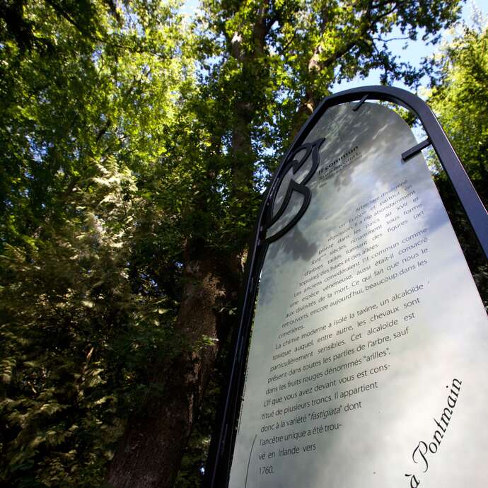 ARBORETUM