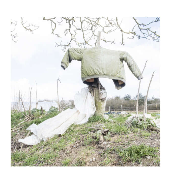 PIED DE BICHE - CIE BRUMES