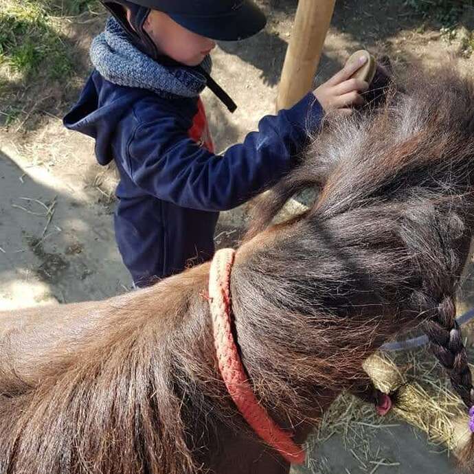 ESPACE EQUESTRE DU FOUILLOUX