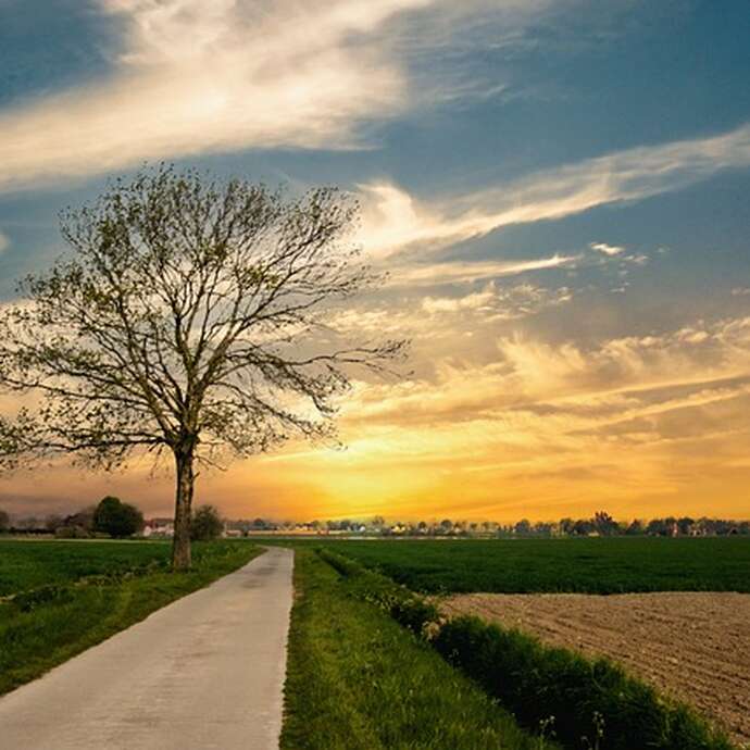 Randonnée du Dimanche à Montaudin