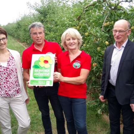 La cueillette du verger