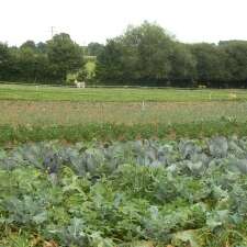 DES CLICS AU POTAGER