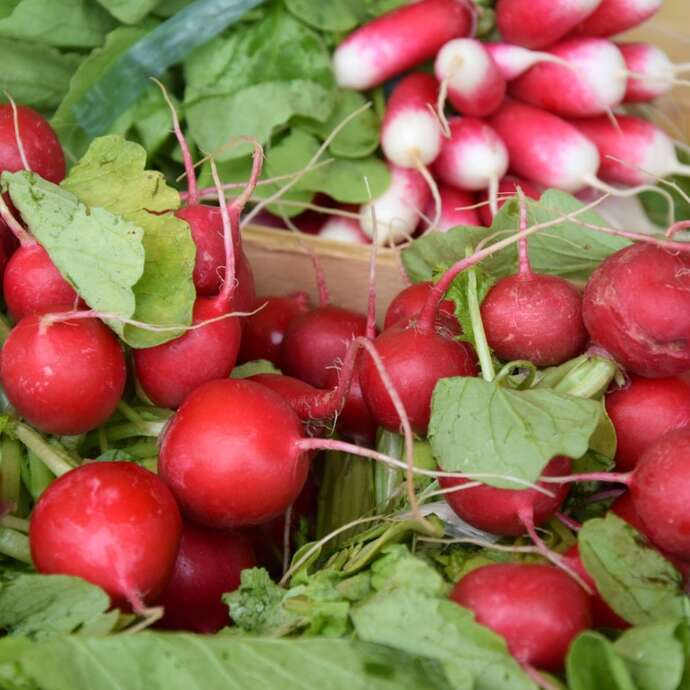 MARCHÉ DE MESLAY-DU-MAINE