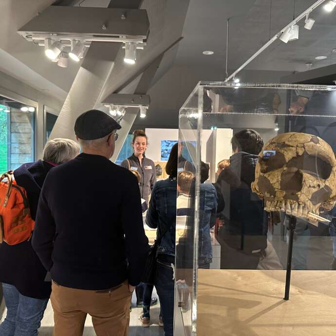 Visite guidée du musée