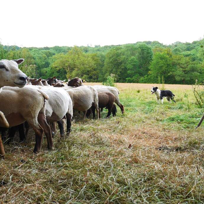 GAEC de la Fontallerie