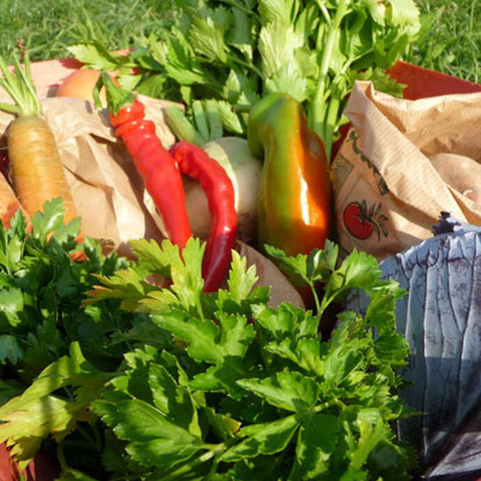 Association Jard'insolite