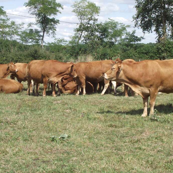 La Ferme de Chaumeil