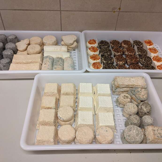 La Ferme des Délices