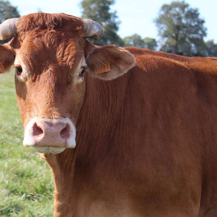 La Ferme du Bouchage
