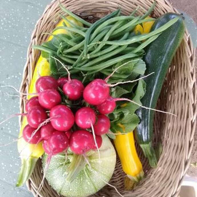 Le Jardin Maraicher de la Gartempe