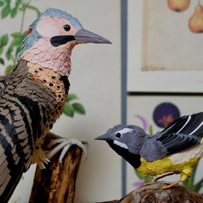 Exposition "Oiseaux de papiers" Maeva Collet