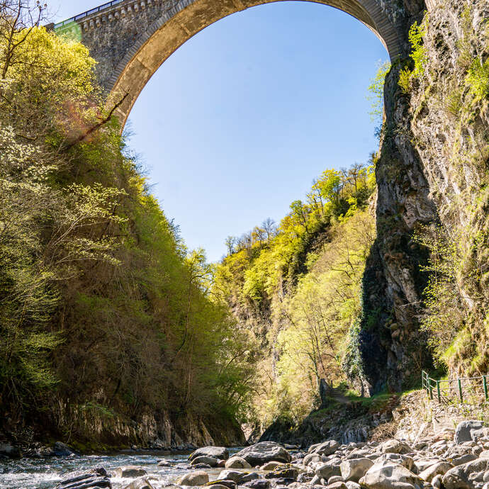 PONT NAPOLEON