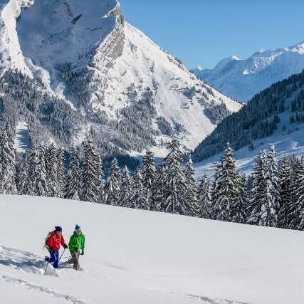 OFFICE DES SPORTS DE MONTAGNE