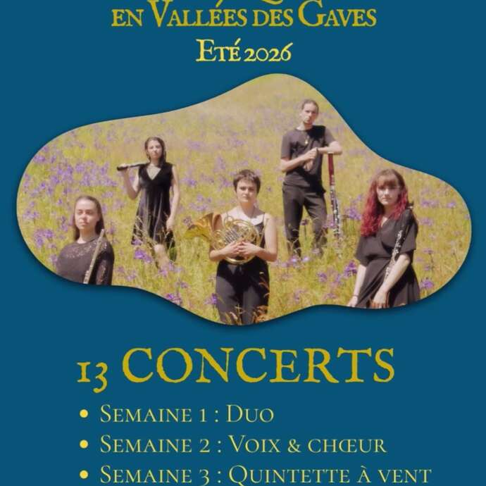 Festival de musique de chambre en Vallée des Gaves