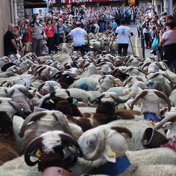 Foire aux côtelettes