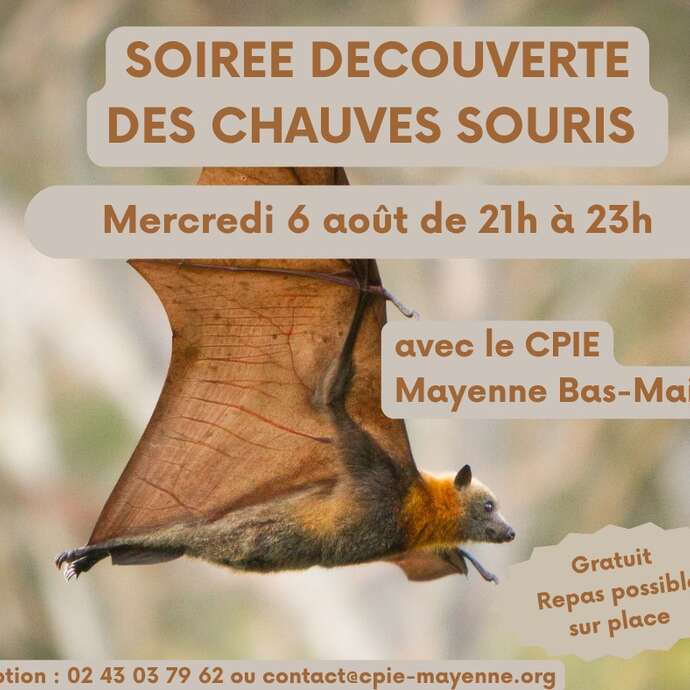 SOIREE DECOUVERTE DES CHAUVES-SOURIS A LA BASE DE LOISIRS