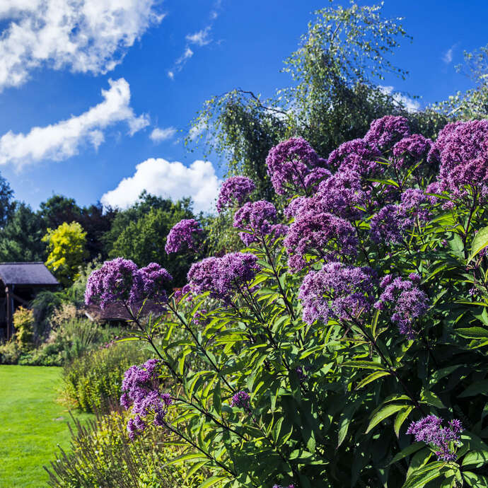 Journées du Patrimoine aux Jardins des Renaudies