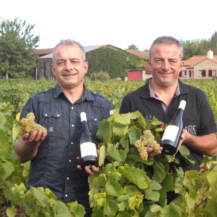 Domaine Martin Luneau