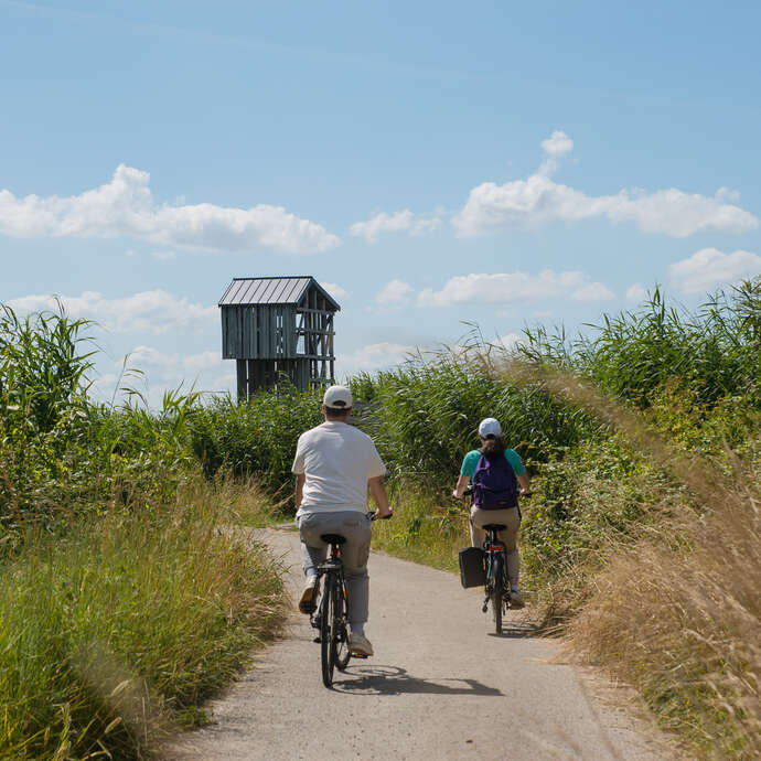 Balade à vélo en bord de Loire