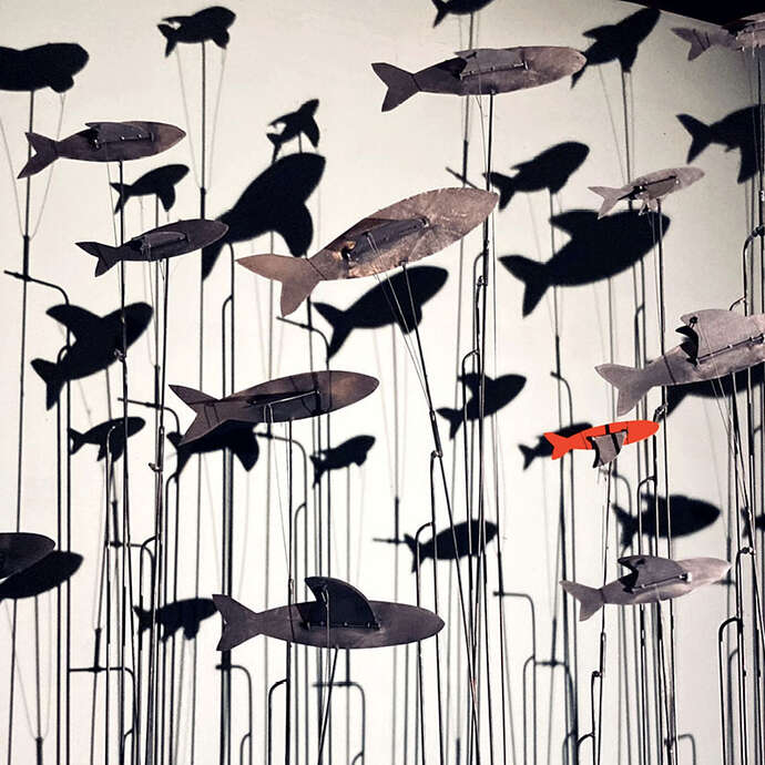 Il y a des oiseaux dans l'aquarium - Cie l'insolite mécanique / Le Théâtre (PUPAZZI)