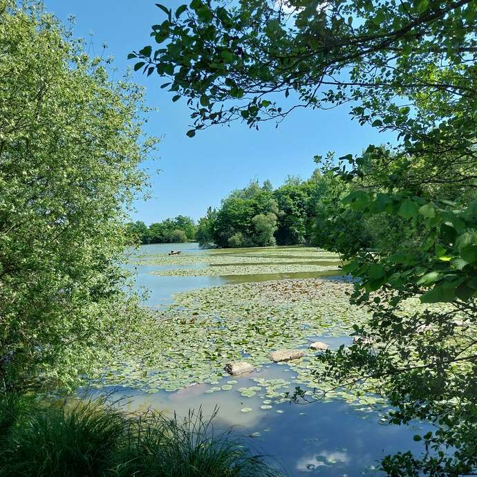 Pause nature et émotions