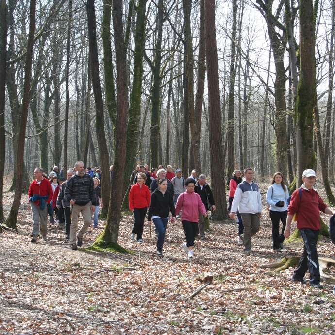 Bois de l'Huisserie
