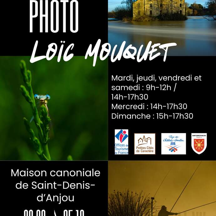 EXPOSITION - Loïc Mouquet