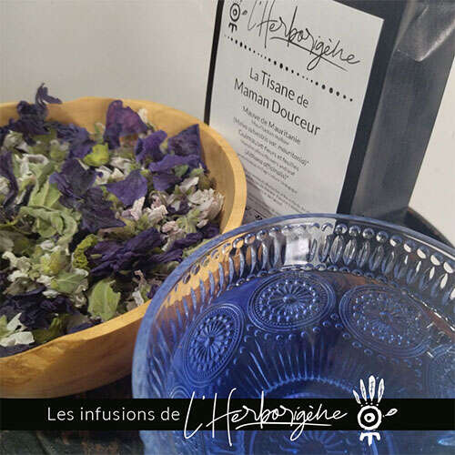 L'Herborigène