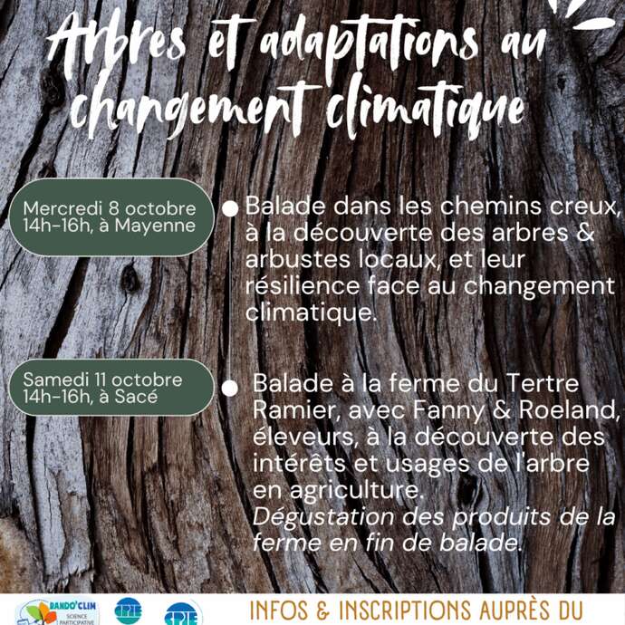 ARBRES & ADAPTATIONS AU CHANGEMENT CLIMATIQUE