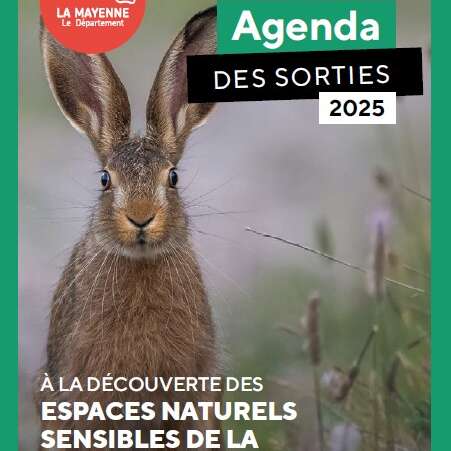 Chasse aux papillons