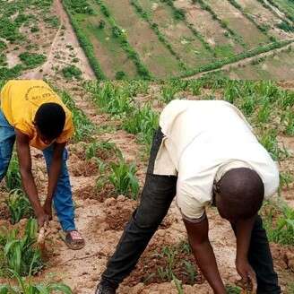 Conférence-débat Le bocage Sahélien