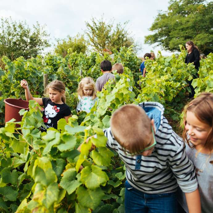Musée du Vignoble Nantais
