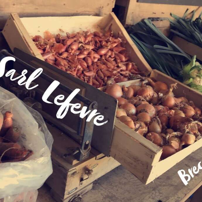 Pommes de terre et autres légumes, SARL Lefèvre