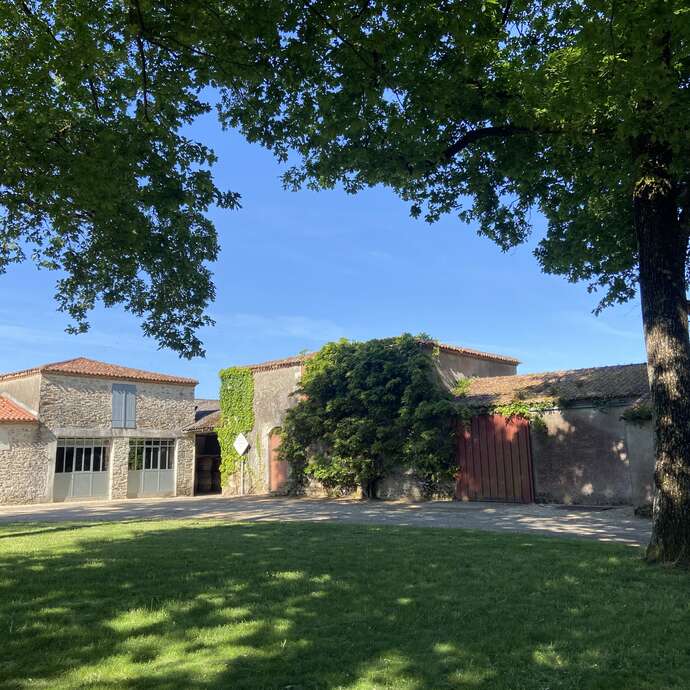 Prestations oenotouristiques au Château La Guipière