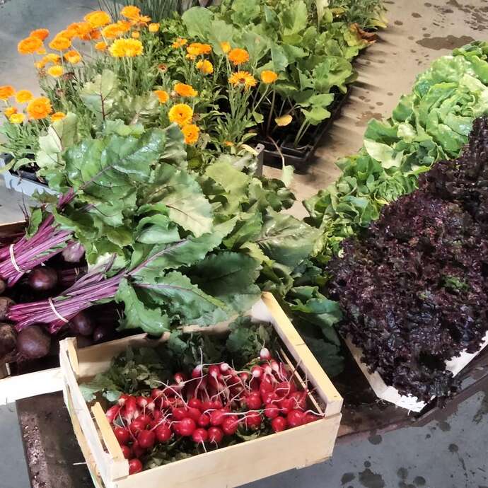 Fruits et légumes - Les Jardins d'Amérian