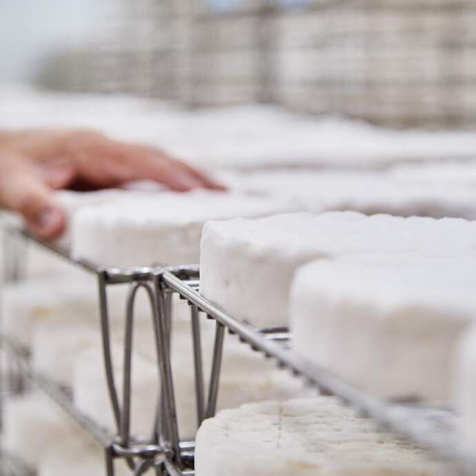 INDUSTRIELLE ATTITUDE : FROMAGERIE VAUBERNIER