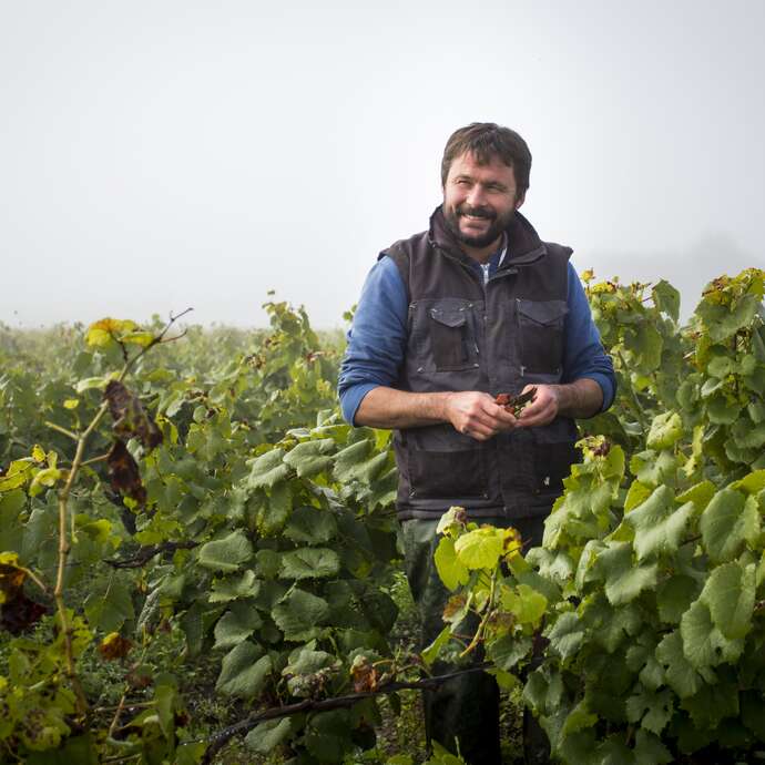 Domaine Bregeon