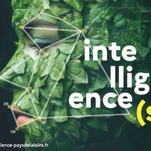 Fête de la science - Décrypter l'intelligence artificielle