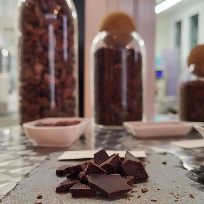 Visite guidée de la chocolaterie artisanale BIM à Sainte-Suzanne