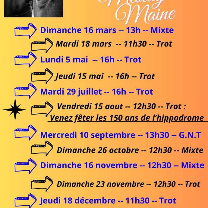 Courses hippiques - Meslay-du-Maine
