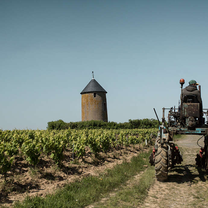 Domaine Ménard-Gaborit