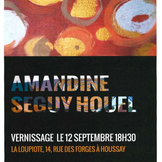 EXPOSITION - Amandine Seguy Houel