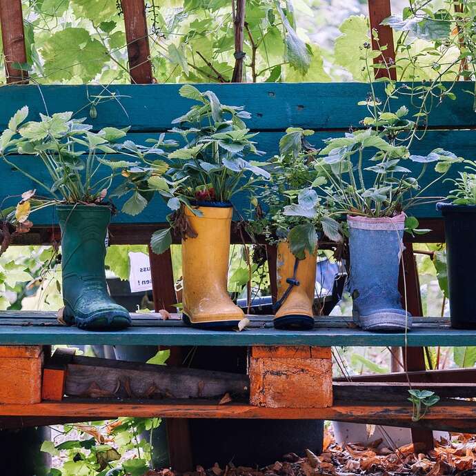 PLANTES EN FÊTE