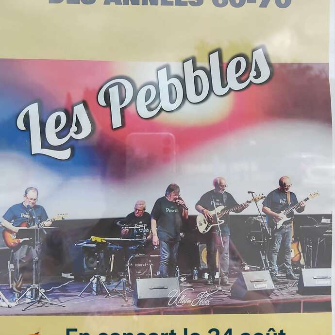 Les Pebbles en concert