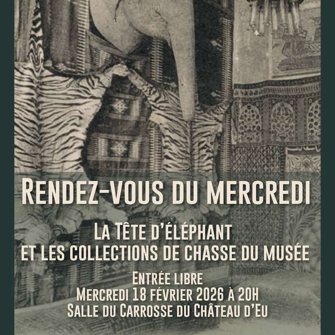 Rendez-vous du mercredi - La tête d'éléphant et les collections de chasse du Musée