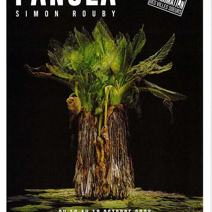 Festival du film d'animation : Exposition : Pangea