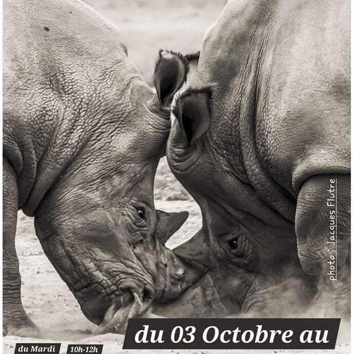 Exposition photo