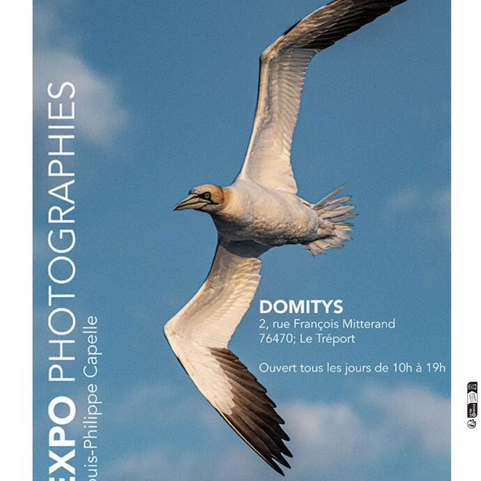 Exposition de photographies