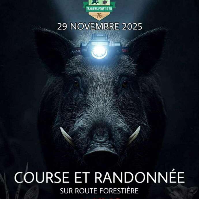 4ème édition : Noc'route - Course et marche sur route forestière