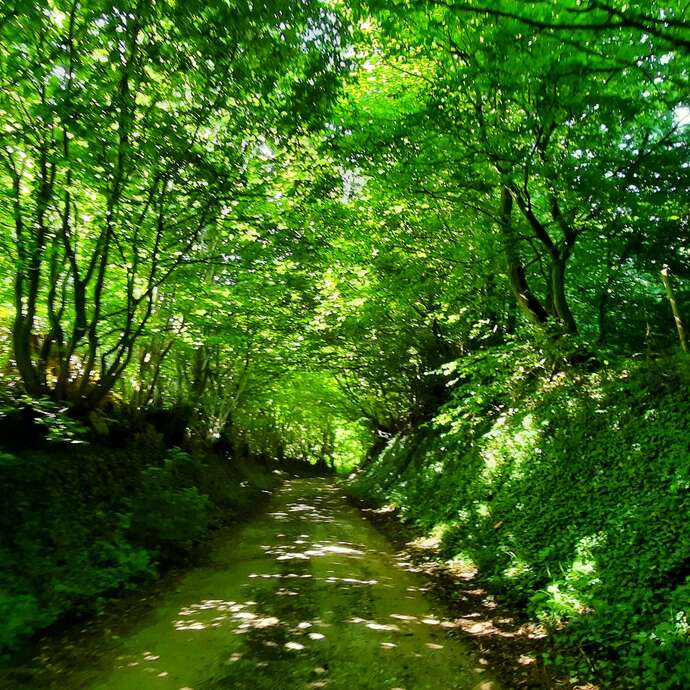 Randonnée apéro My French Rhum